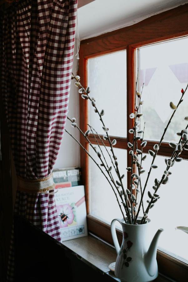 Studio Apartment Romeo 벨리카 고리차 외부 사진